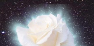 Comment Vont Les Choses Dans Votre Vie, et Qui Vous Êtes?